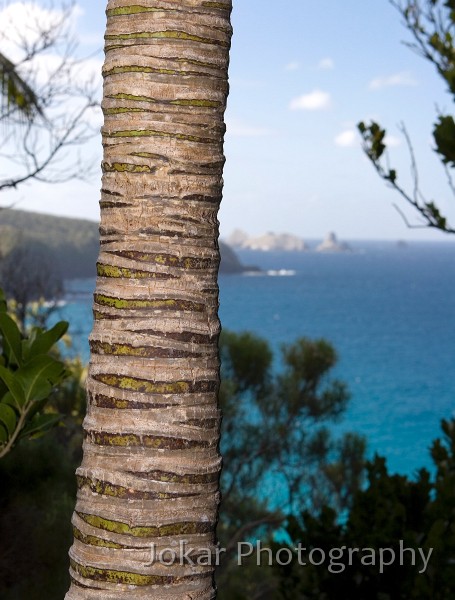 Lord Howe Island_20061210_048.jpg